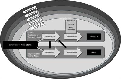 The mindful resiliency in recovery model: empowering the transcendence of stigma